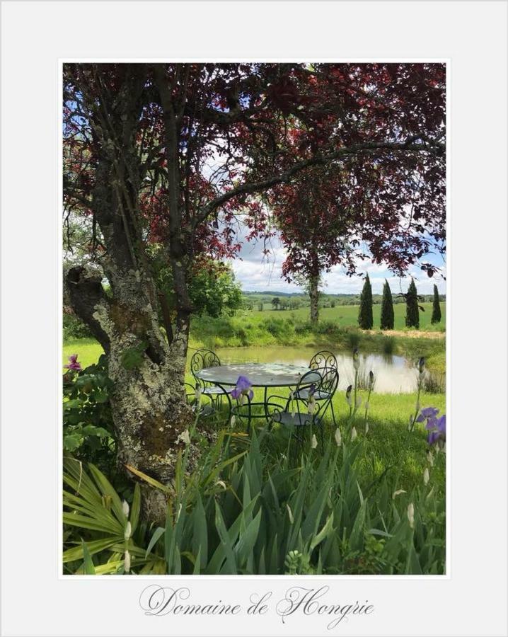 Domaine De Hongrie Otel Nogaro Dış mekan fotoğraf